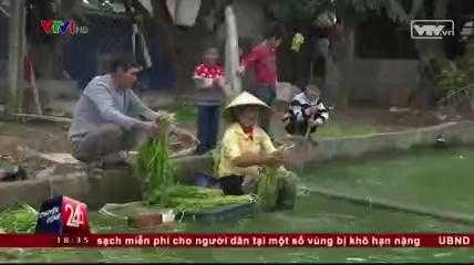 Clip: Hưng Yên thừa nhận nguồn nước rửa rau là nước bẩn