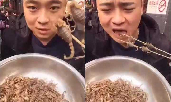 Nổi da gà clip chàng trai ngấu nghiến nhai bọ cạp sống