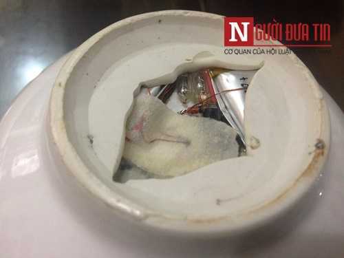 Tá hỏa phát hiện chíp điện tử gắn dưới đáy bát ăn cơm