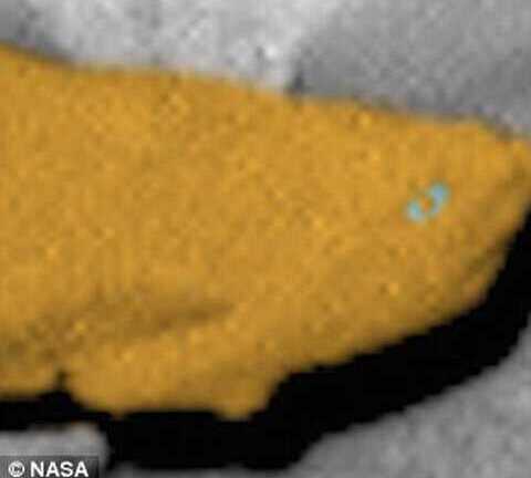 Tranh cãi quanh phát hiện cá sống trên sao Hỏa