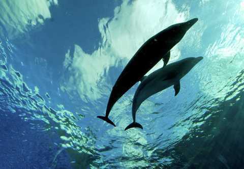 Phát hiện đại dương ngầm khổng lồ 2,7 tỷ năm tuổi