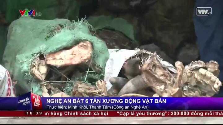 Clip: Kinh hoàng 6 tấn xương động vật thối 'đổ bộ' Hà Nội