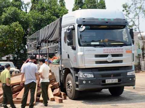 Bắt xe tải gắn mác cơ quan báo chí để chở gỗ lậu