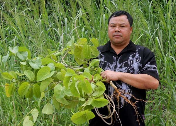 'Thần y' miền gái đẹp, truyền nhân bài thuốc chữa xương khớp, 'gút' lừng danh