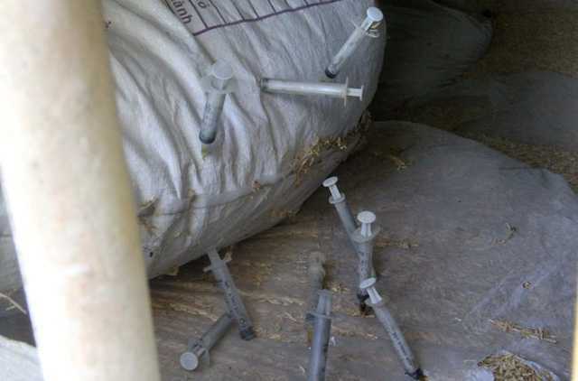 Cả làng run sợ bị con nghiện 'bủa vây', kim tiêm dính máu rải khắp đường