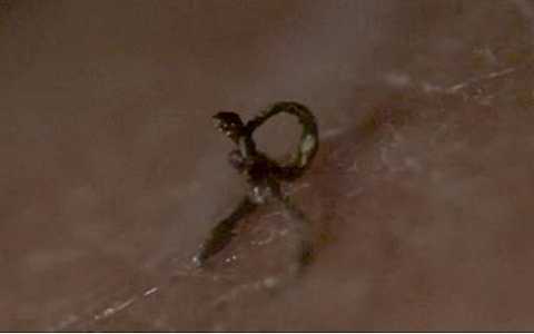 Video: Sự thật kinh hoàng sau công nghệ làm đẹp thu hút chị em