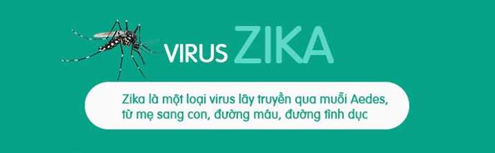 Infographic: 'Cơn ác mộng' virus Zika xuất hiện tại Việt Nam, đối phó thế nào?