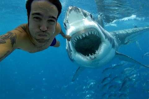 Vì sao có chết vẫn muốn có ảnh 'tự sướng' đẹp?