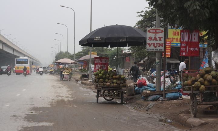 Kinh hoàng 'phố hoa quả trộn ruồi nhặng' giữa lòng Hà Nội