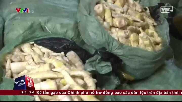 Clip: Hoảng hồn măng tươi được đốt ủ bằng lưu huỳnh
