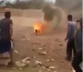 Phẫn nộ clip đám thanh niên buộc thuốc nổ vào chú chó rồi cho nổ tung