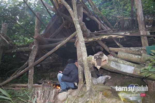 Cuộc đời ly kỳ của “người rừng” có khả năng “giao tiếp” với muông thú