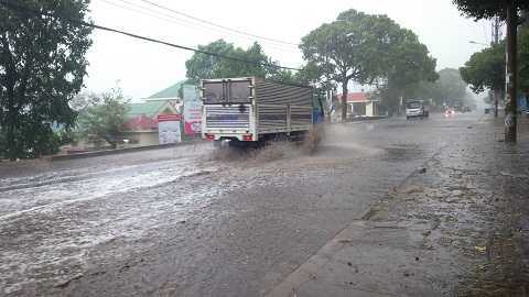 Mưa 'vàng' xuất hiện giải cứu Tây Nguyên