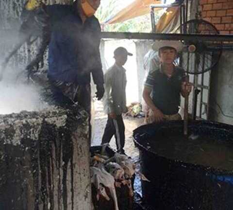 Kinh hãi những chiêu nhổ lông gà bằng hóa chất chỉ có ở VN