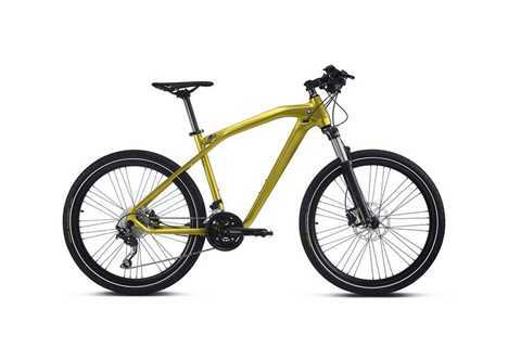 Cận cảnh xe đạp BMW Cruise M bản giới hạn giá hơn 30 triệu