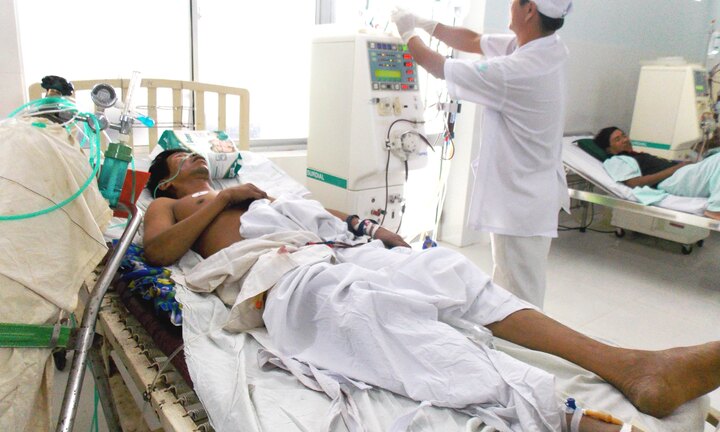 Ngộ độc do ăn côn trùng, 3 người thương vong