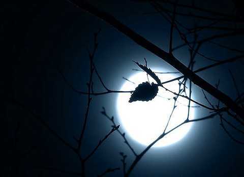 Giải mã những lời đồn 'dựng tóc gáy' quanh ngày trăng tròn