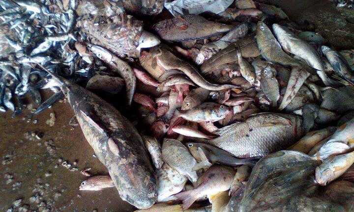 4 ngày nữa, Bộ Công thương sẽ kiểm tra môi trường ở Formosa