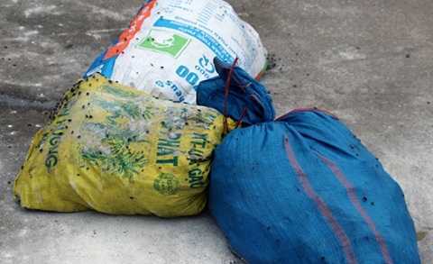 15 tấn cá bốc mùi nồng nặc chuẩn bị chế biến nước mắm