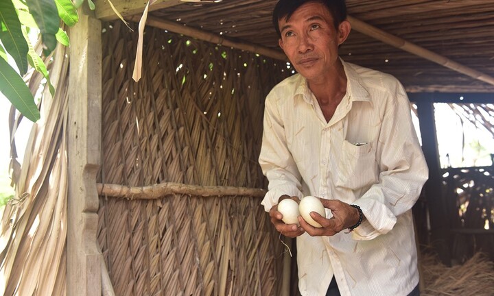 Ảnh: Bên trong khu đất của người bị khởi tố vì dựng chòi vịt