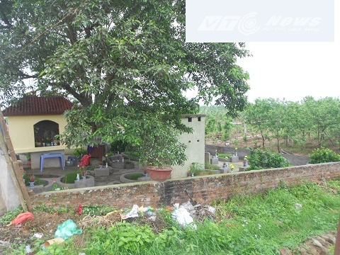 Bí ẩn những ngôi mộ vô danh nằm trong vườn đào Nhật Tân