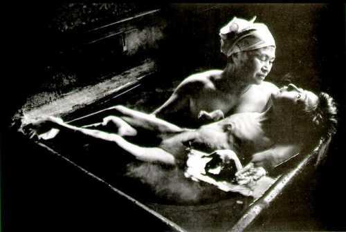 Cá chết hàng loạt và căn bệnh khủng khiếp cho người dân Nhật Bản