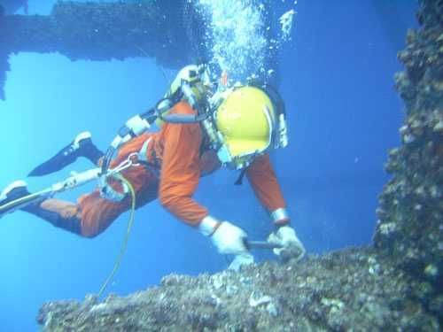 Cá chết bất thường ở Vũng Áng: Thêm 5 thợ lặn nhập viện