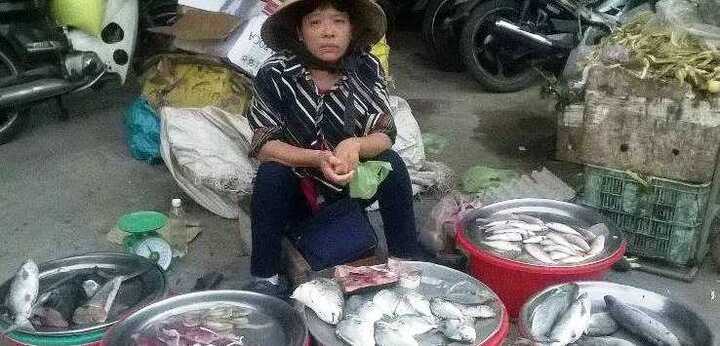 Cá chết ở biển miền Trung: Buôn cá khóc ròng, bán thịt cười tươi