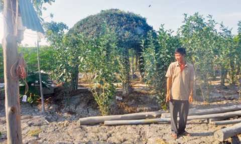 Chủ đất quán cà phê Xin Chào bị khởi tố: Viện KSND Tối cao chỉ đạo khẩn