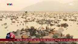 Kim loại nặng Crom trong nước biển Lăng Cô cao gấp 9 lần mức cho phép