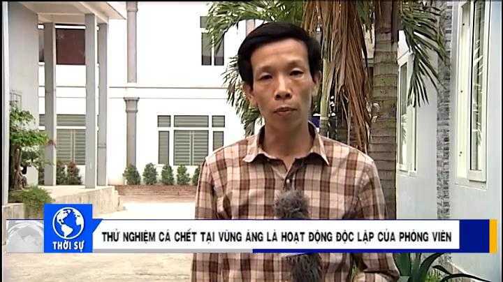 Video: Phóng viên VTC1 thông tin thêm về thực nghiệm cá chết sau 2 phút