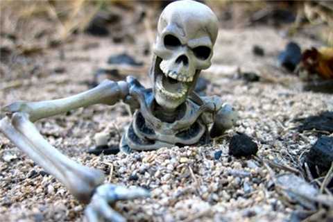 Hồ xương người Roopkund: Sự rùng rợn của chốn tiên cảnh