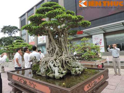 Siêu cây triệu đô 'mâm xôi con gà' nổi tiếng giờ thế nào?