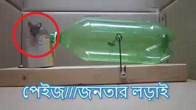 Clip: Cách bẫy chuột thông minh đáng nể của người Nhật