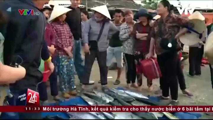 Hà Tĩnh triển khai thu mua hải sản an toàn cho ngư dân
