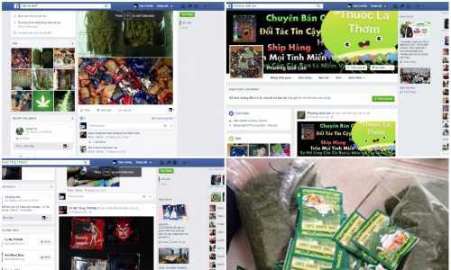 Cỏ Mỹ đội lốt trà giảm cân tung hoành bán mua trên mạng