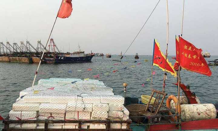 Trung Quốc sử dụng hạm đội tàu cá mang vũ khí ra Biển Đông