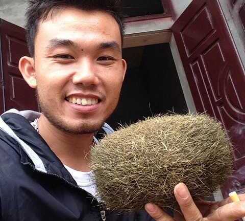 2 'quả trứng vàng' đồn giá hàng chục tỷ đồng: 'Khả năng là nhân tạo'