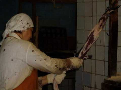 Khủng khiếp hình ảnh bên trong các trại lột lông thú tại Nga và Trung Quốc