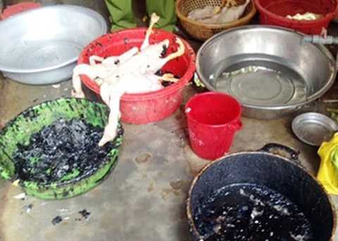 Ghê người cảnh vặt lông vịt siêu nhanh bằng hóa chất màu đen
