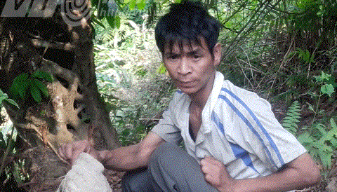 Hành trình đi tìm người rừng chạy nhảy như vượn ở Lai Châu