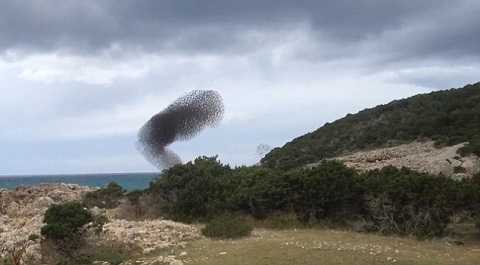 Vệt đen bí ẩn xuất hiện trên bầu trời Nga