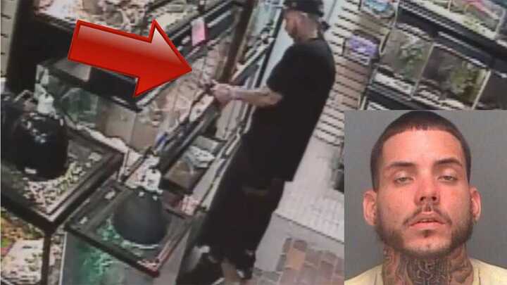 Clip: ‘Quý ông’ vào cửa hàng trộm trăn ‘khủng’, nhét vào quần