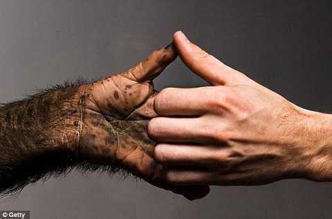 Những phát hiện cuối cùng về nguồn gốc của loài người