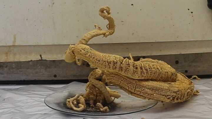 Clip: Phản ứng hóa học ‘con rắn của Pharaoh’ khiến người xem nổi da gà