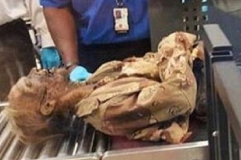 Nhân viên sân bay làm thủ tục cho 'xác chết' qua cửa an ninh