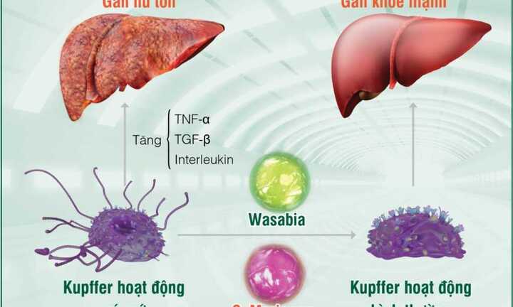 Thực phẩm bẩn 'giết chết' gan