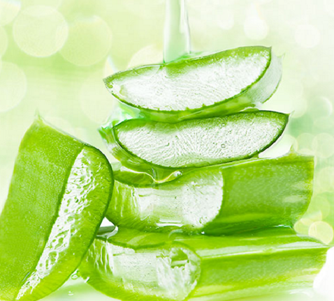 Nha Đam - thần dược diệu kỳ cho làn da