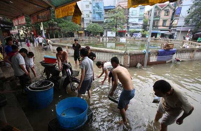 Dân hò nhau đi bắt cá trên đường phố Thủ đô