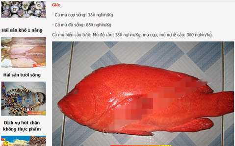 Nhà giàu Hà Thành săn lùng cá mú đỏ 1 triệu/kg